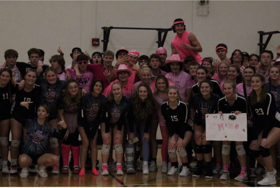 Sting volleyball raises money for cancer