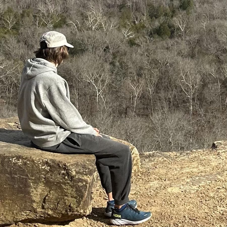 Tai W. overlooks a forest in Arkansas