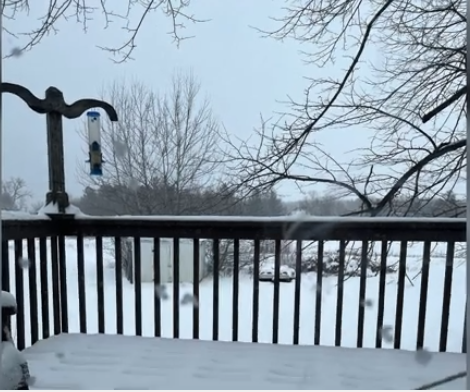 The snowy weather during this spring break