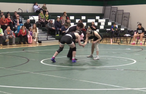 Tegan Erickson agaisnt a wrestler from Elk River in the home dual.